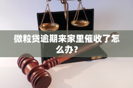 沙河融资清欠服务